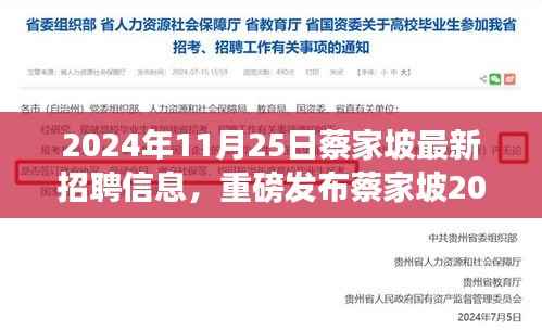 2024年11月25日蔡家坡最新招聘信息，重磅发布蔡家坡2024年最新科技招聘信息，引领未来职场新潮流，体验科技改变生活的无限魅力