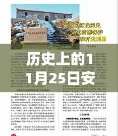 历史上的11月25日安卓小宝最新版本,历史上的11月25日,安卓小宝最新版本的诞生与成长