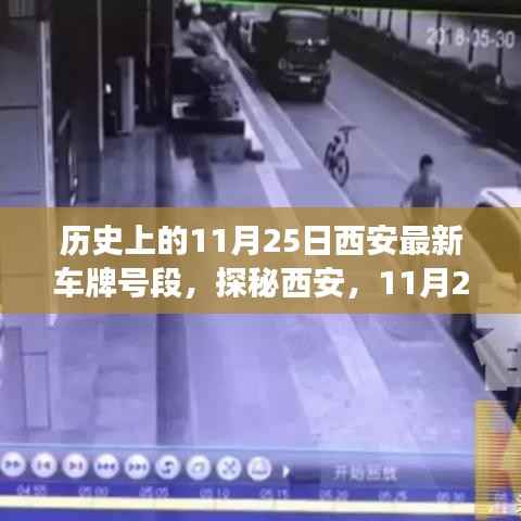 探秘西安,揭秘最新车牌号段下的隐秘小巷美食宝藏(11月25日)