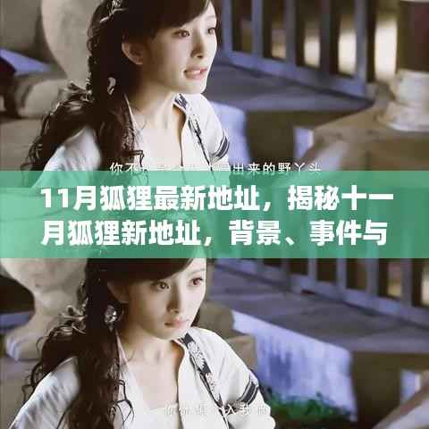 揭秘十一月狐狸最新地址,背景、事件、影响与独特地位