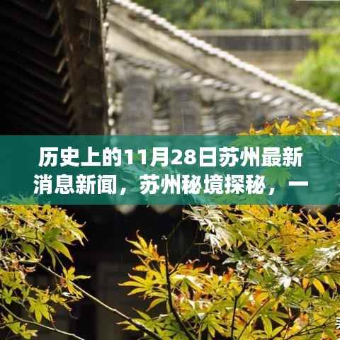 苏州秘境探秘,自然美景与历史交汇的奇妙旅程——最新新闻回顾与揭秘日(11月28日)