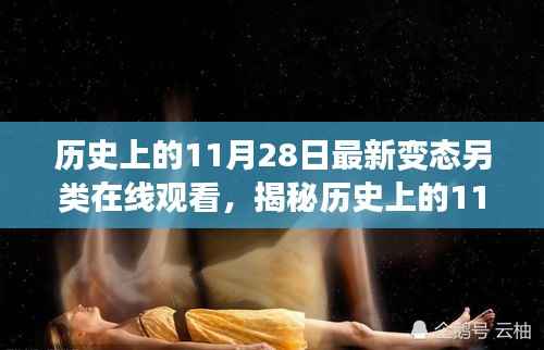 揭秘历史上的11月28日,另类在线观看背后的故事与变迁之探秘日纪实录