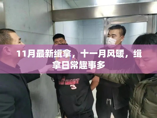 十一月风暖缉拿日常趣事盘点