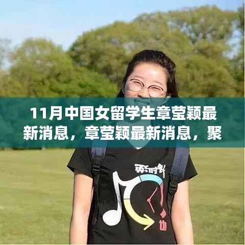 章莹颖最新消息揭秘,聚焦关注与多元解读