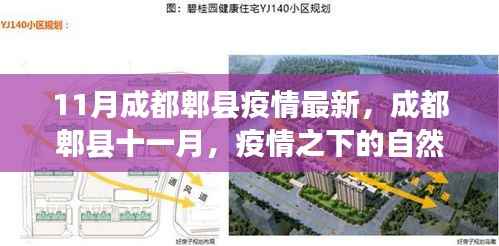 成都郫县疫情下的自然疗愈之旅,寻找心灵的宁静与平和