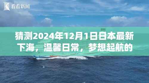2024年12月1日日本海上奇遇,温馨日常与梦想起航的奇妙时光