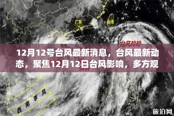 12月12日台风最新动态与深度解读,多方观点聚焦台风影响