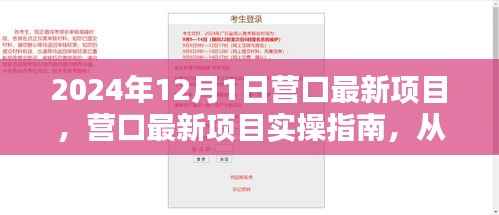 营口最新项目实操指南,从入门到精通的一步到位(2024年12月版)