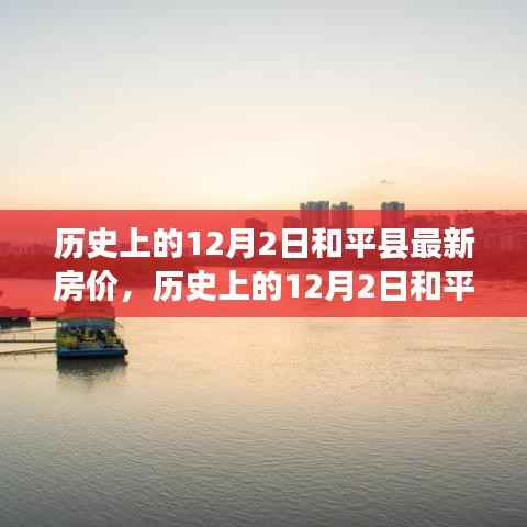 历史上的12月2日和平县最新房价解析,购房指南助你洞悉市场动态