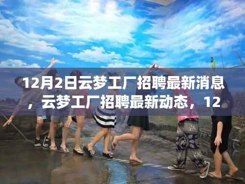 12月2日云梦工厂招聘最新动态深度解析，最新招聘信息一览