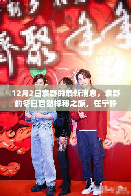 袁野的冬日探秘之旅,自然和谐与内心宁静的共鸣