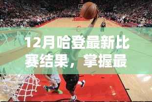哈登十二月赛事全解析,从入门到进阶的观赛指南