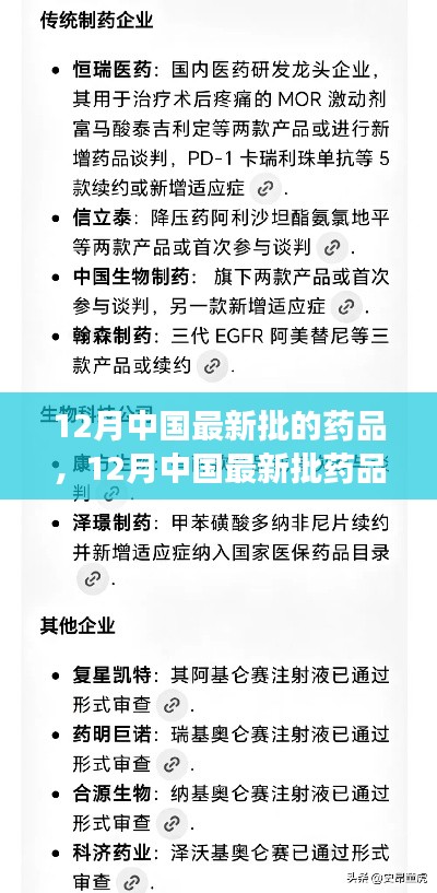 12月最新药品批次指南,获取与使用详解,初学者与进阶用户必读