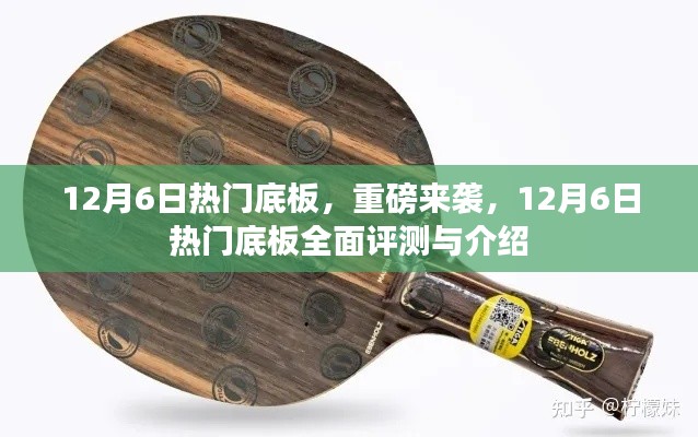 12月6日热门底板,重磅来袭,12月6日热门底板全面评测与介绍