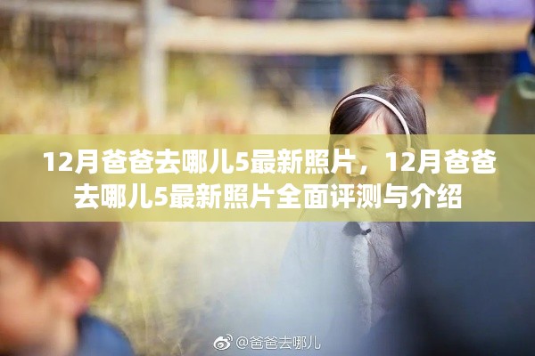 12月爸爸去哪儿5最新照片,12月爸爸去哪儿5最新照片全面评测与介绍