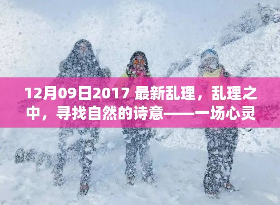 探寻自然诗意,心灵与美景的十二月之旅