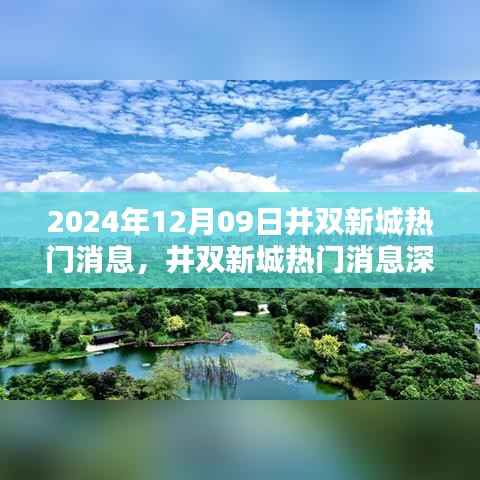 井双新城深度解析,特性、体验、竞品对比与用户群体分析,热门消息一网打尽(2024年12月09日)