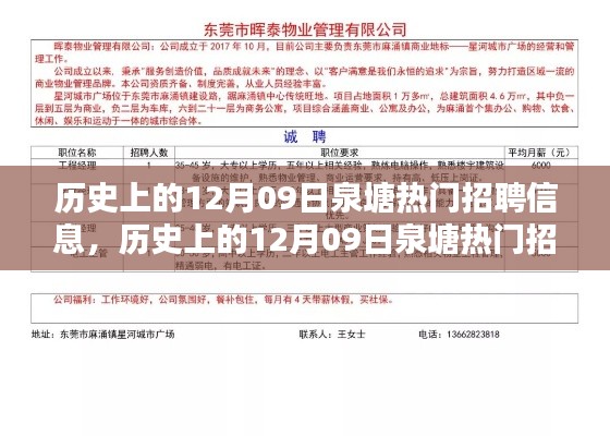 泉塘热门招聘信息历史回顾与深度解析,聚焦十二月九日的人才市场动向