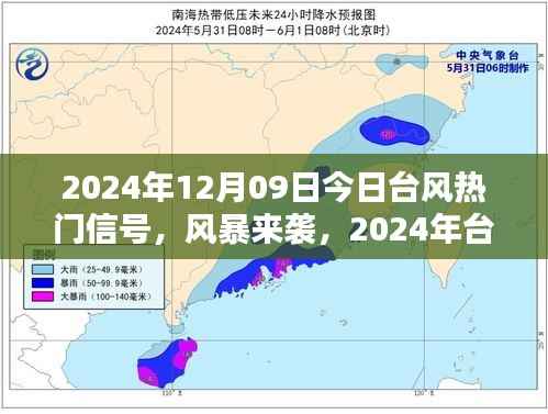 革新预警体验,智能监控器应对台风来袭,科技重塑生活
