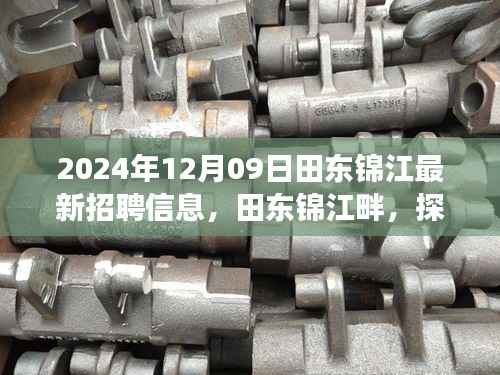田东锦江畔招聘启事,探索自然美景之旅,寻找内心的宁静与机遇(2024年最新)