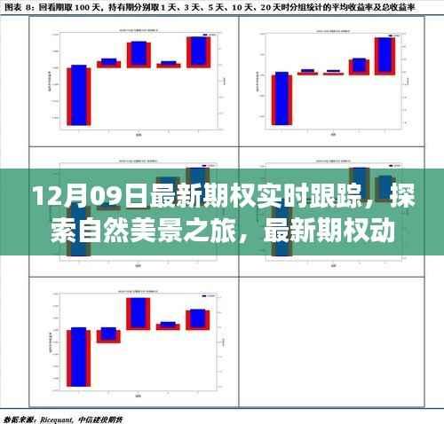 最新期权动态下的自然美景探索与心灵宁静之旅(实时跟踪报道)