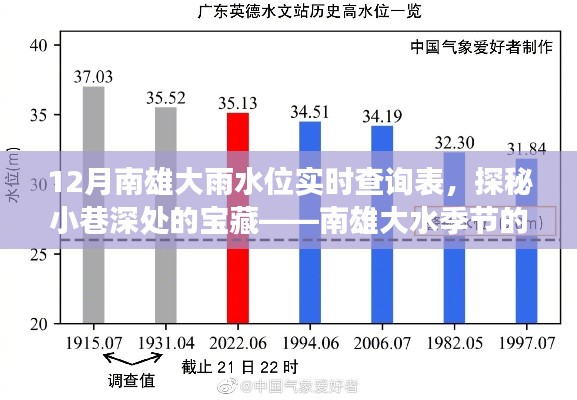 探秘南雄小巷深处宝藏,实时水位查询与美味故事——南雄大雨水位实时查询表揭秘