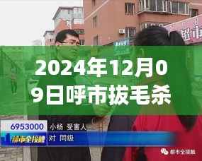 呼市拔毛杀夫事件全程追踪与应对步骤指南,实时报道及最新进展(2024年12月9日)