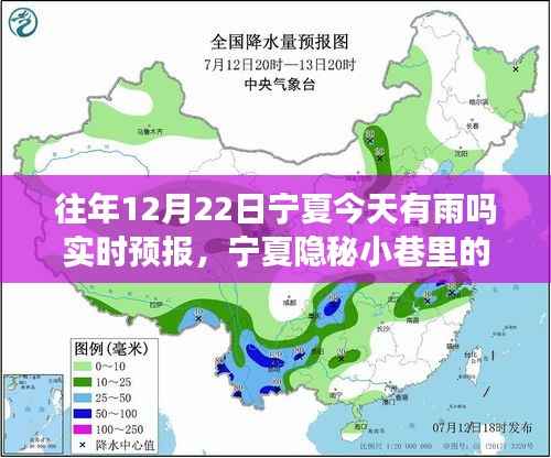 宁夏隐秘小巷诗意小店,雨中之韵与味蕾奇遇的探寻实时预报