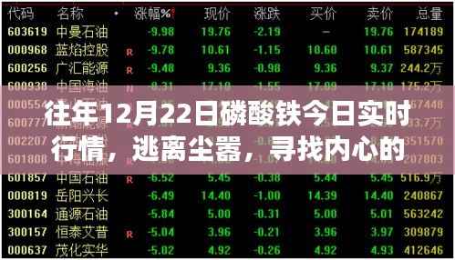 磷酸铁行情下的自然之旅,探寻内心宁静与今日实时行情解析