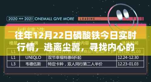 磷酸铁行情下的自然之旅,探寻内心宁静与今日实时行情解析