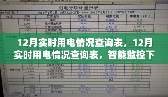 智能监控下的电力消费洞察,12月实时用电情况查询表分析