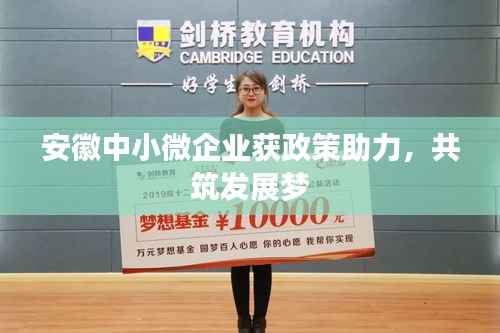 安徽中小微企业获政策助力,共筑发展梦