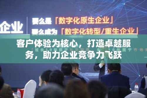 客户体验为核心,打造卓越服务,助力企业竞争力飞跃