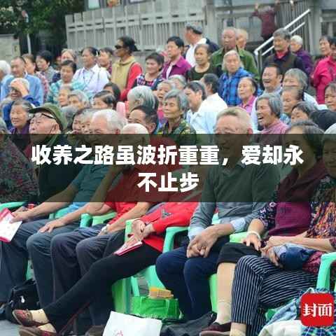 收养之路虽波折重重,爱却永不止步