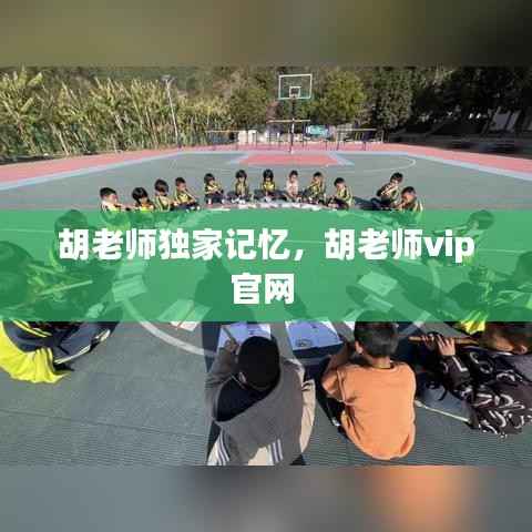 胡老师独家记忆,胡老师vip官网