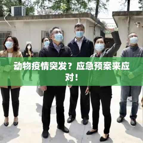 漫天飞舞 第3页