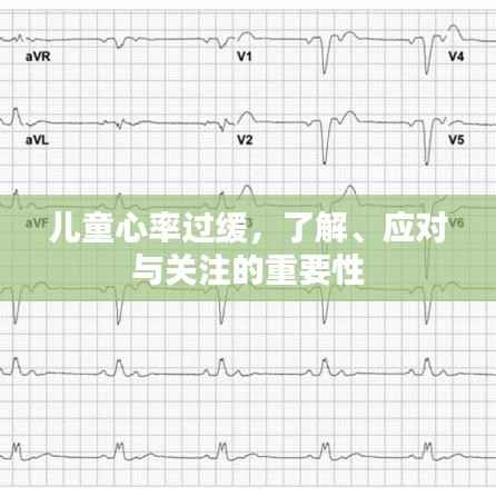 儿童心率过缓,了解、应对与关注的重要性