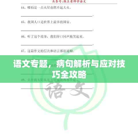 语文专题，病句解析与应对技巧全攻略