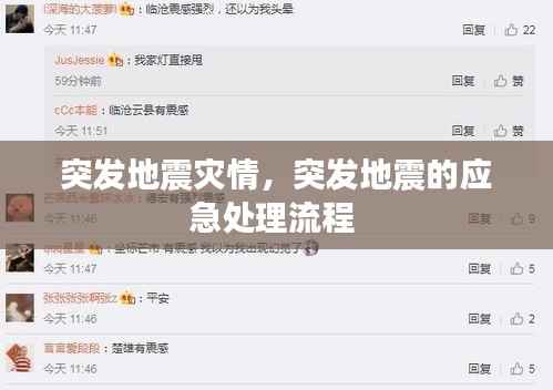 突发地震灾情,突发地震的应急处理流程