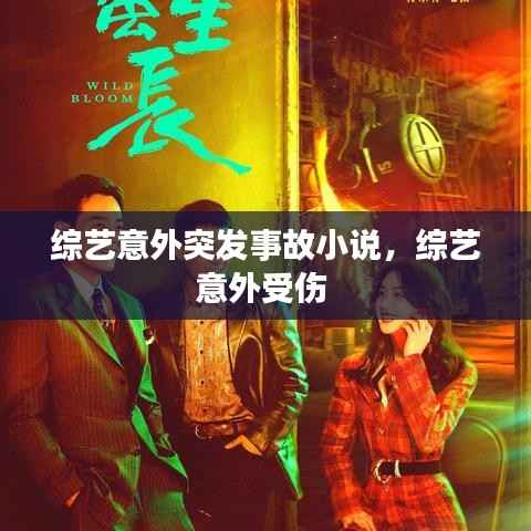 综艺意外突发事故小说,综艺意外受伤