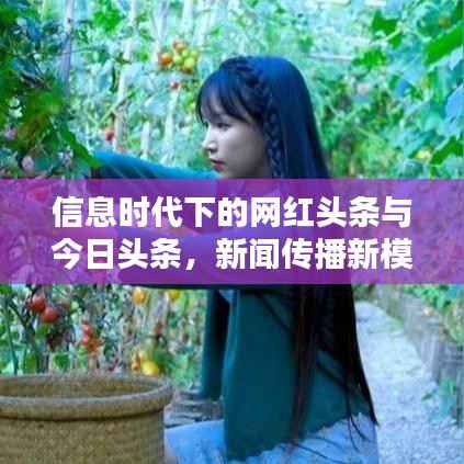 信息时代下的网红头条与今日头条,新闻传播新模式探索