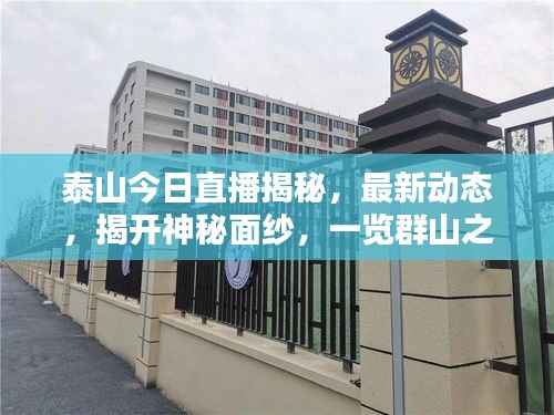 泰山今日直播揭秘,最新动态,揭开神秘面纱,一览群山之壮美