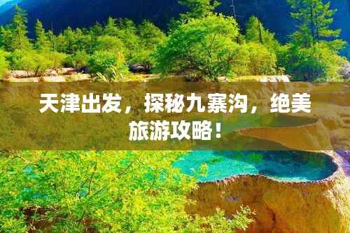 天津出发,探秘九寨沟,绝美旅游攻略!
