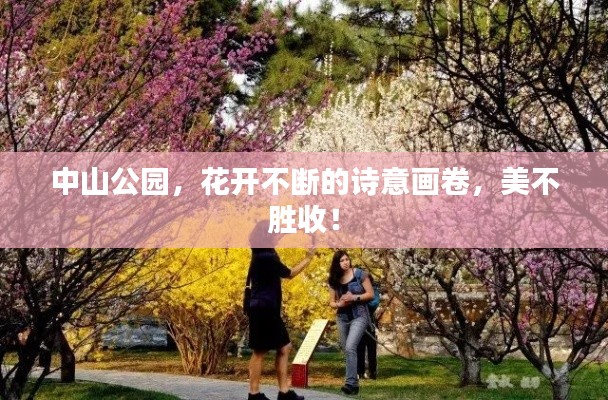 中山公园,花开不断的诗意画卷,美不胜收!