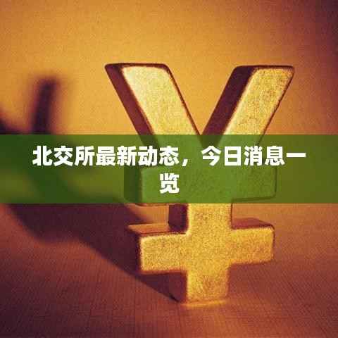 北交所最新动态,今日消息一览
