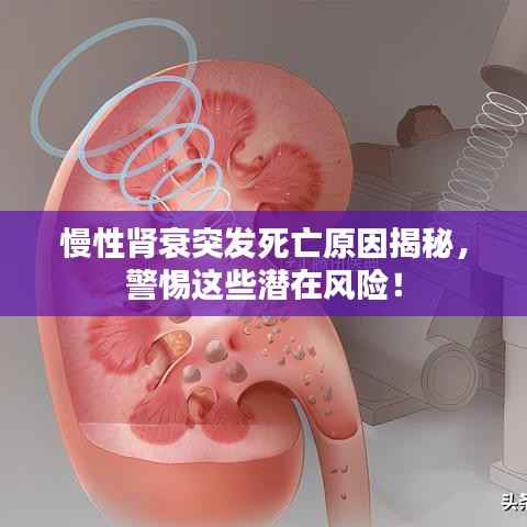 慢性肾衰突发死亡原因揭秘,警惕这些潜在风险!