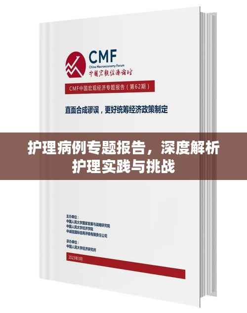护理病例专题报告,深度解析护理实践与挑战