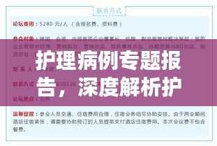 护理病例专题报告,深度解析护理实践与挑战
