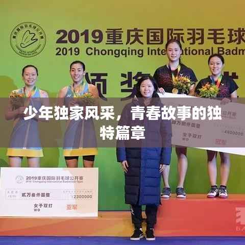 少年独家风采,青春故事的独特篇章