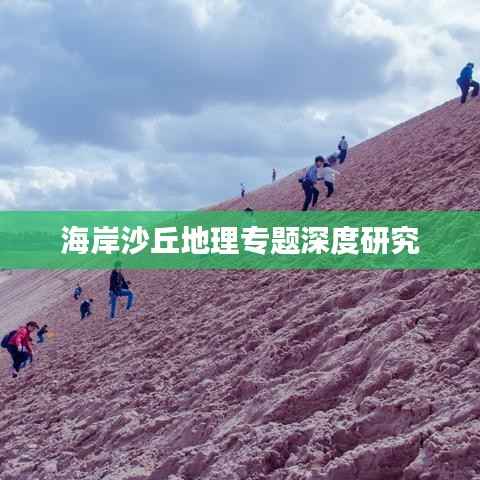 海岸沙丘地理专题深度研究